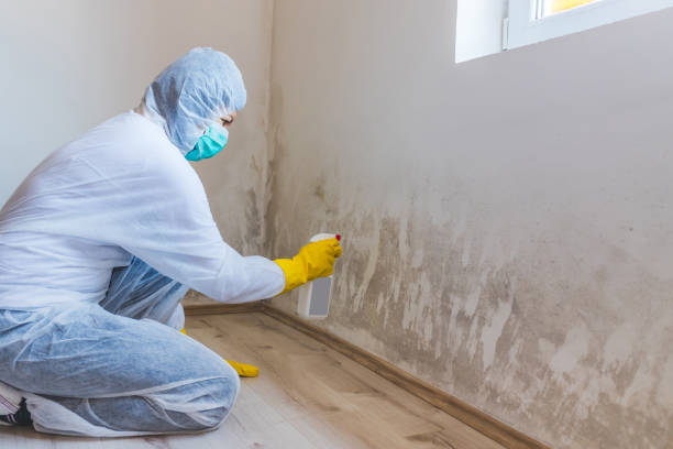 Licensed Mold Testing service in Potomac, MD - WQB Mold Removal