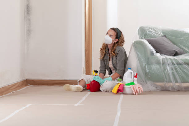 Reliable Mold Testing contractor in Potomac, MD by WQB Mold Removal