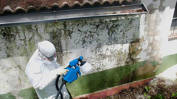 Top rated local Mold Testing specialists in Potomac, MD